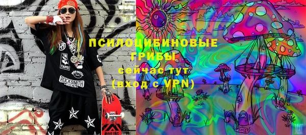 дурь Осинники