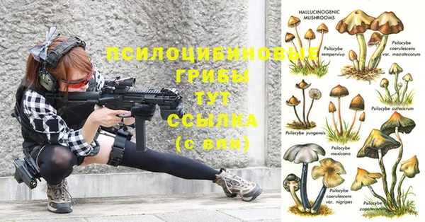 шишки Мещовск